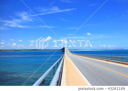 Irabu Ohashi 43261189