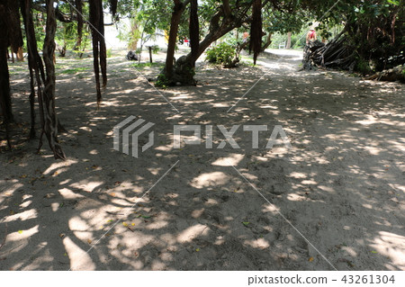 [Scenic view of the world] New Caledonia/Sunbeams 43261304