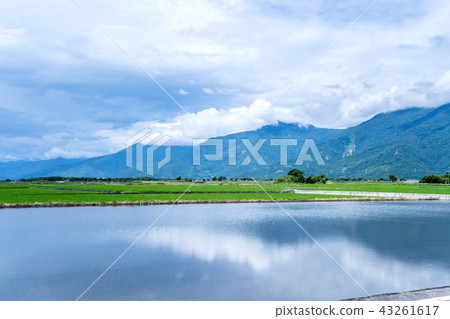 台灣台東布朗大道台東布朗大道台東稻荷 43261617