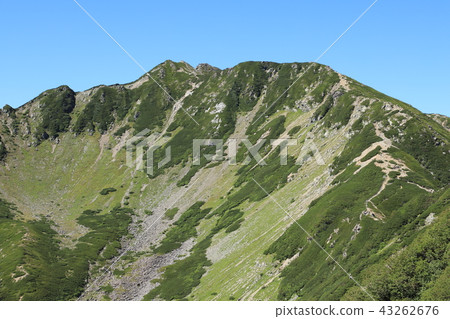 Senjogatake Kosenjozawa curl 43262676