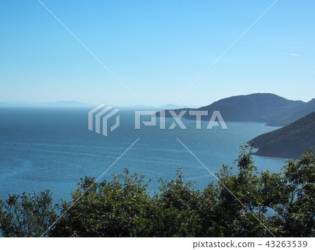 View of Aioi Bay Aioi Bay in the summer afternoon 43263539