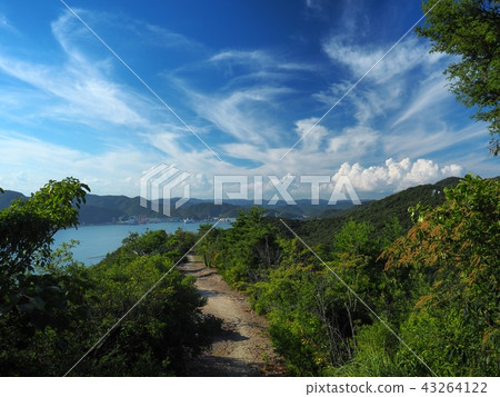 Landscape of Aioi Bay in summer 43264122