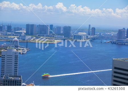 Tokyo Bay summer scene 43265308