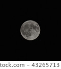 Full moon (age 14.7) 43265713