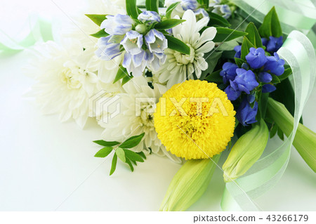 A bouquet of offerings 43266179