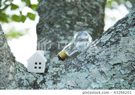 Eco electricity Eco electricity 43266201