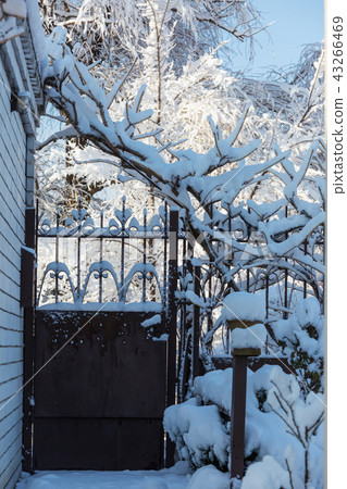 Winter gate Winter gate 43266469