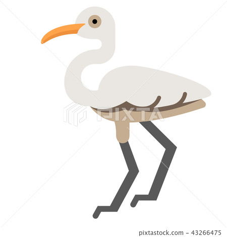 Egret flat illustration 43266475