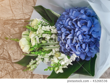 Beautiful bouquet of lion's flower, hydrangeas and roses 43266536