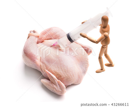 Genetic injection into raw chicken isolated Genetic injection into raw chicken isolated 43266611
