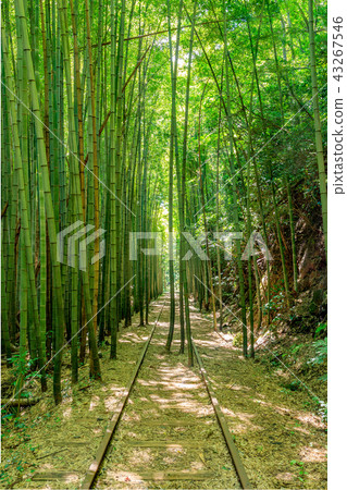 Former JNR Kurayoshi Line, an abandoned line trace 43267546