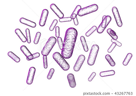 細菌插圖(計算機圖形) 細菌插圖(計算機圖形) 43267763