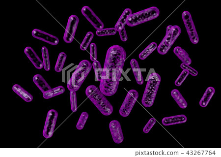 細菌插圖（計算機圖形） 43267764