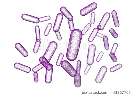 細菌插圖(計算機圖形) 細菌插圖(計算機圖形) 43267765