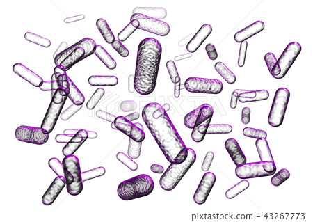 細菌插圖（計算機圖形） 43267773