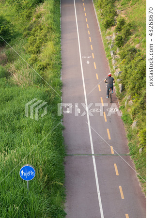 Bicycle path in the park 43268670