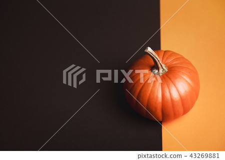 Pumpkin on two-colored background Pumpkin on two-colored background 43269881