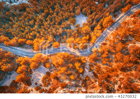 Aerial view of road with cars, autumn forest 43270032