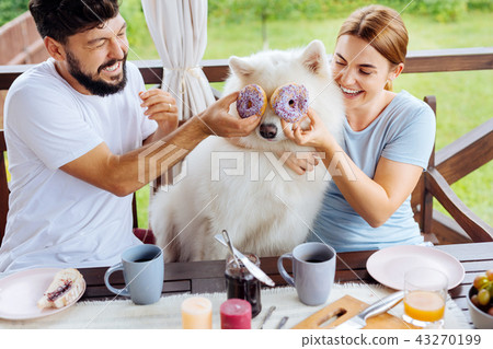 Man and woman laughing while having fun with their dog 43270199