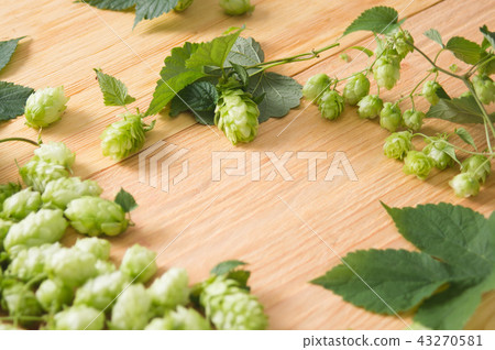 Fresh cones of hops on a wooden background Fresh cones of hops on a wooden background 43270581