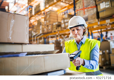 Senior warehouse woman worker working with barcode scanner. 43271716