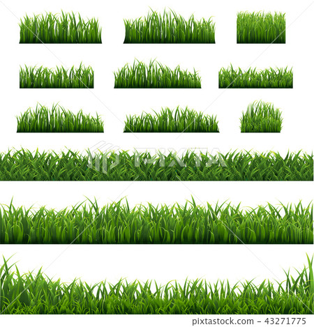 Big Set Green Grass Border Background - Stock Illustration [43271775 ...