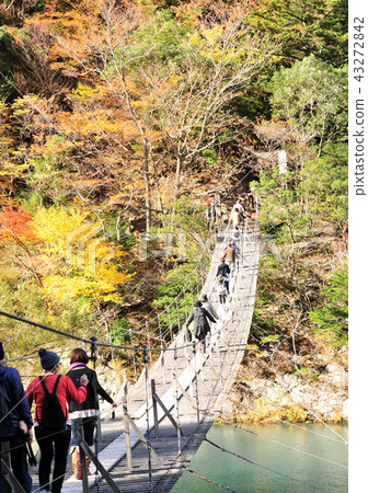 Sumita Gorge-14358 Sumita Gorge-14358 43272842