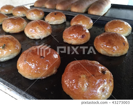 Fresh pastry, round buns on a roasting pan Fresh pastry, round buns on a roasting pan 43273003