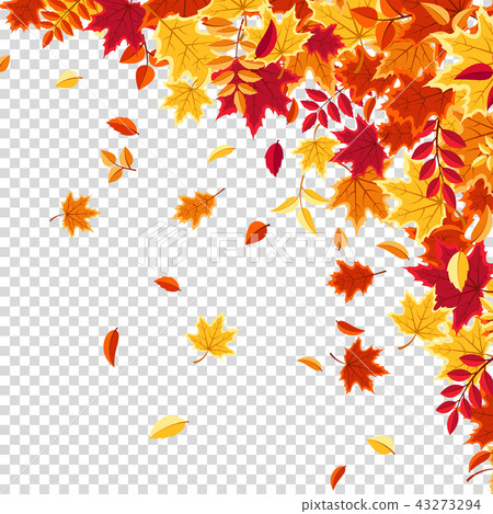 Autumn falling leaves. Nature background with red, orange, yellow foliage. Flying leaf. Season sale Autumn falling leaves. Nature background with red, orange, yellow foliage. Flying leaf. Season sale 43273294