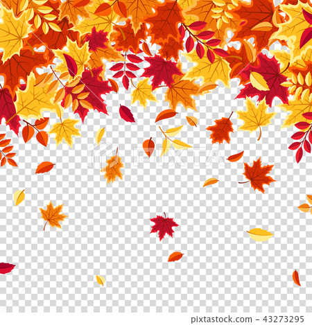 Autumn falling leaves. Nature background with red, orange, yellow foliage. Flying leaf. Season sale 43273295