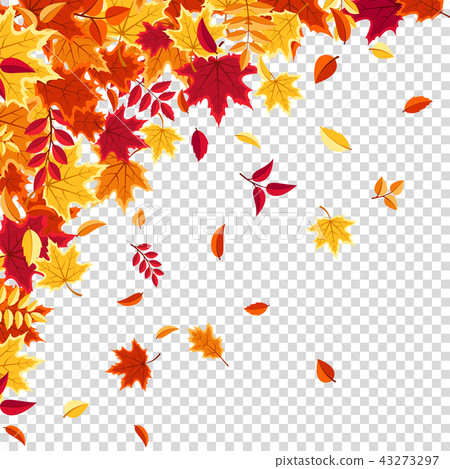 Autumn falling leaves. Nature background with red, orange, yellow foliage. Flying leaf. Season sale Autumn falling leaves. Nature background with red, orange, yellow foliage. Flying leaf. Season sale 43273297