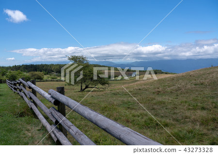 [Nagano Prefecture] Matsumoto basin, a ranch in the summer high Bocchi plateau 43273328