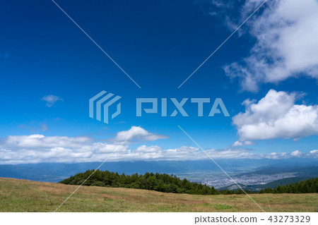 [Nagano Prefecture] Matsumoto basin, a ranch in the summer high Bocchi plateau 43273329
