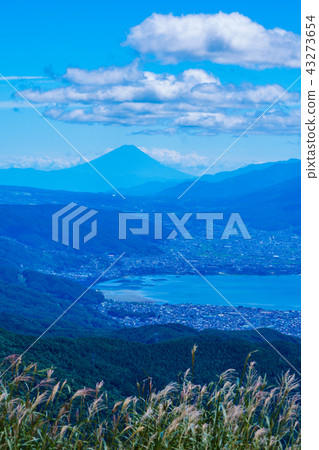 (Nagano Prefecture) Mt. Fuji seen from the summer high bocce plateau 43273654