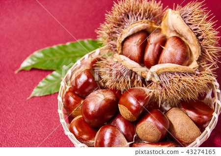 Leehee栗子 43274165