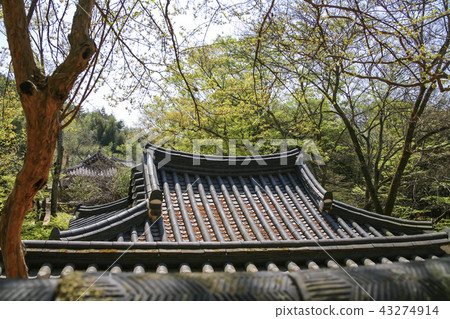 Jeollanam-do,韓國,Damyang,Sosangwon Jeollanam-do,韓國,Damyang,Sosangwon 43274914