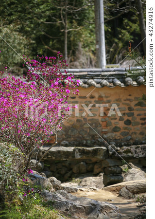 Jeollanam-do,韓國,Damyang,Sosangwon Jeollanam-do,韓國,Damyang,Sosangwon 43274916