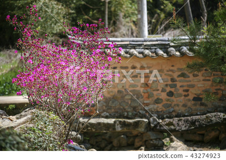 Jeollanam-do, Korea, Damyang, Sosangwon Jeollanam-do, Korea, Damyang, Sosangwon 43274923