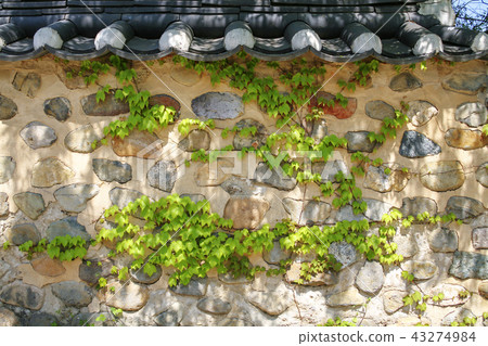 韓國全羅南道,Damyang, 韓國全羅南道,Damyang, 43274984