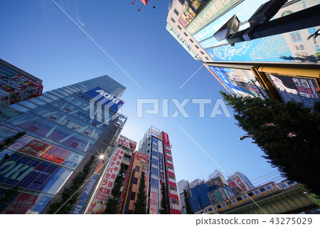 Tokyo cityscape in Japan I want a view of Akihabara, Tokyo 43275029