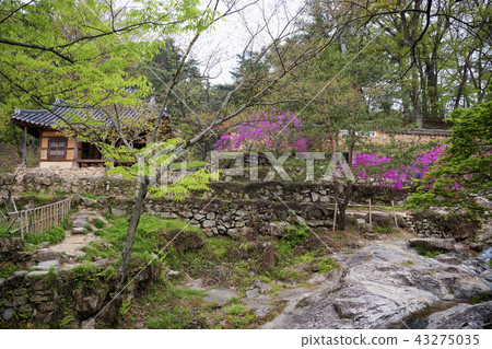 Jeollanam-do, Korea, Damyang, Sosangwon Jeollanam-do, Korea, Damyang, Sosangwon 43275035