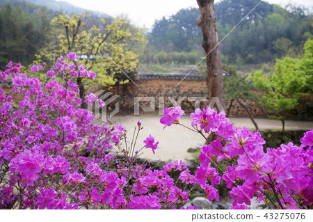 Jeollanam-do, Korea, Damyang, Sosangwon 43275076