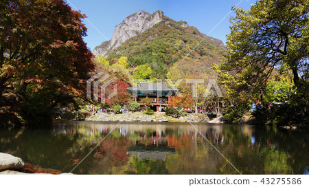 Jeollanamdo, Korea, Changseong County, Baekyangsa 43275586