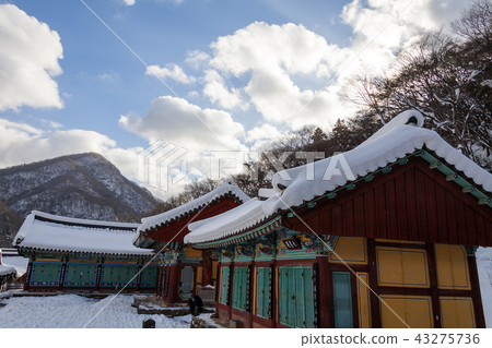 Jeollanamdo，韓國，長城縣，白楊沙 43275736