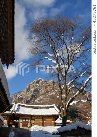 Jeollanamdo, Korea, Changseong County, Baekyangsa 43275761