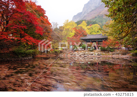 Jeollanamdo, Korea, Changseong County, Baekyangsa 43275815