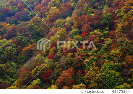Jeollanamdo, Korea, Changseong County, Baekyangsa Jeollanamdo, Korea, Changseong County, Baekyangsa 43275894