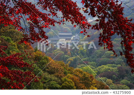 Jeollanamdo, Korea, Changseong County, Baekyangsa Jeollanamdo, Korea, Changseong County, Baekyangsa 43275900