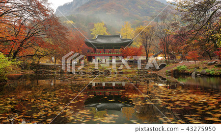 Jeollanamdo, Korea, Changseong County, Baekyangsa 43275950