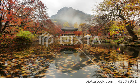 Jeollanamdo, Korea, Changseong County, Baekyangsa 43275951
